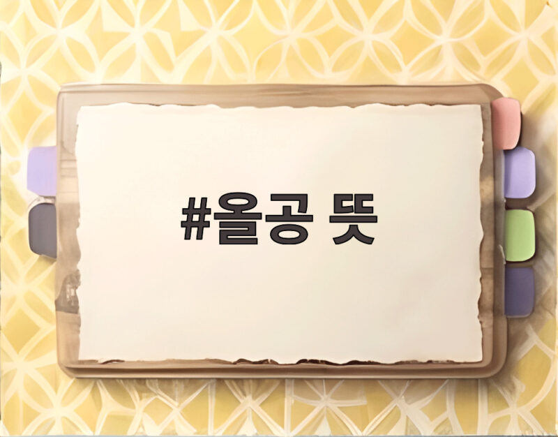 올공 뜻과 광복절 집회 논란 분석 1 올공 뜻