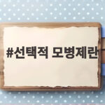 선택적 모병제 도입 의미와 추진 방향 살펴보기 선택적 모병제란