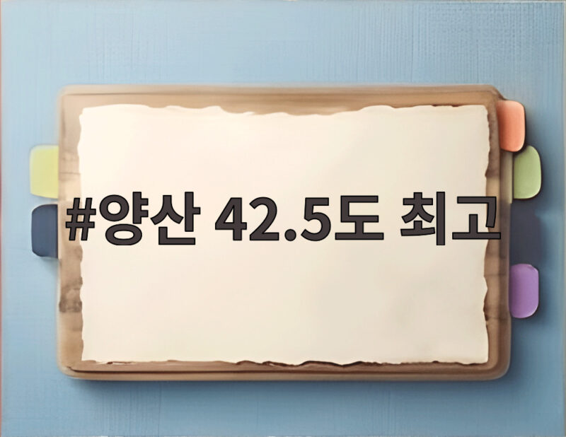 양산 42.5도 최고 기록의 의미 1 양산 42.5도 최고