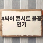 싸이 콘서트 불꽃 연기 사직구장 야구 경기 중단 사건 정리 싸이 콘서트 불꽃 연기
