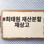 최태원 재산분할 재상고, 쟁점과 전망 최태원 재산분할 재상고