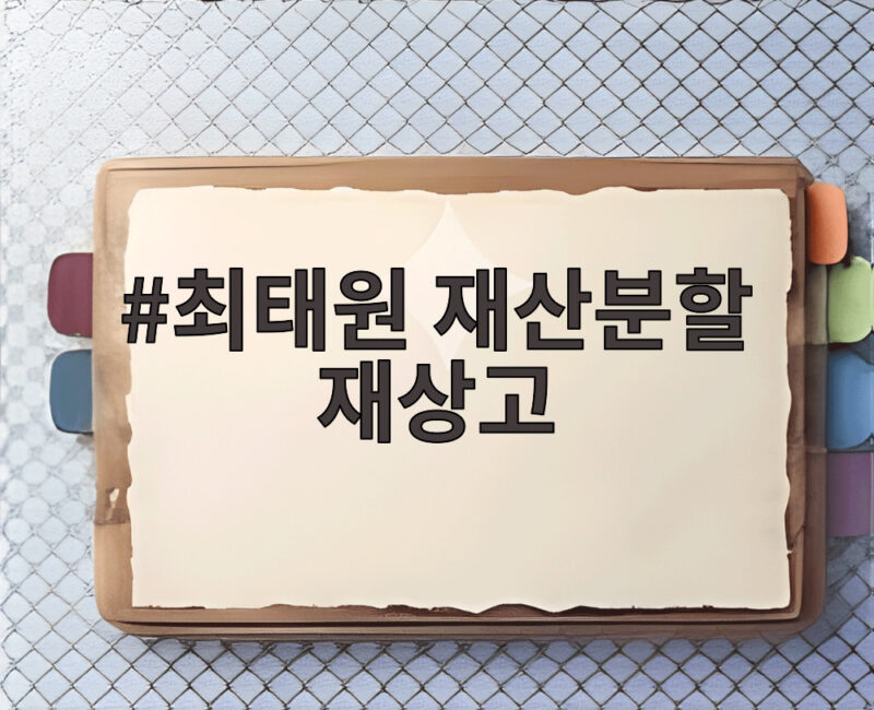 최태원 재산분할 재상고, 쟁점과 전망 1 최태원 재산분할 재상고