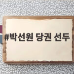 박선원 당권 선두 최고위원 경선 판도 변화 박선원 당권 선두