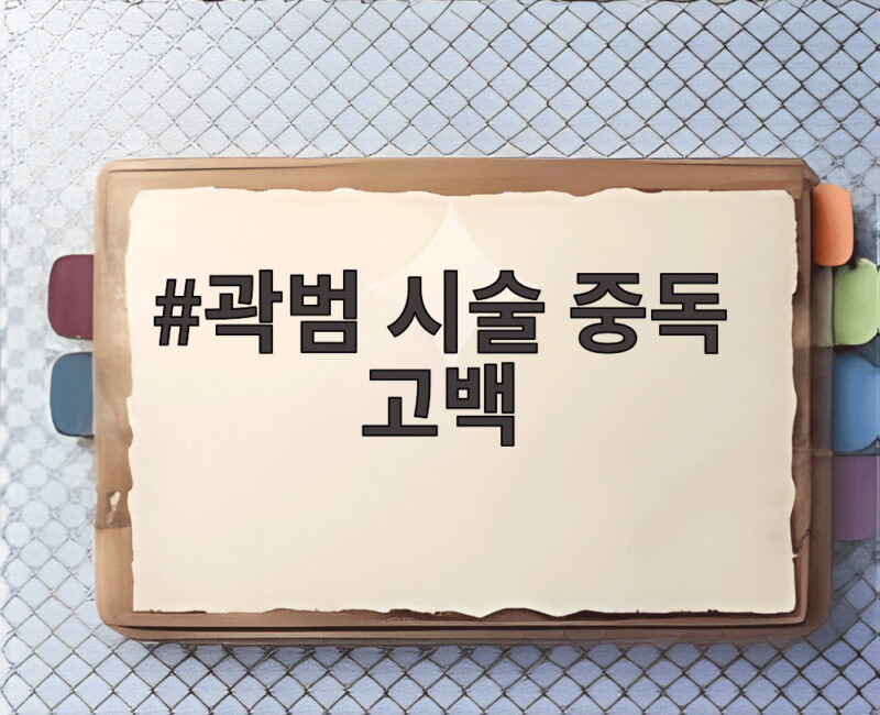 곽범 시술 중독 고백 수천만원 투자한 비용 공개 1 곽범 시술 중독 고백