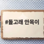 돌고래 안목이