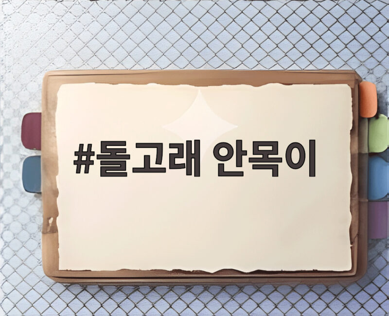 강릉 돌고래 안목이 구조와 치료 복귀 1 돌고래 안목이