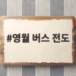 영월 버스 전도