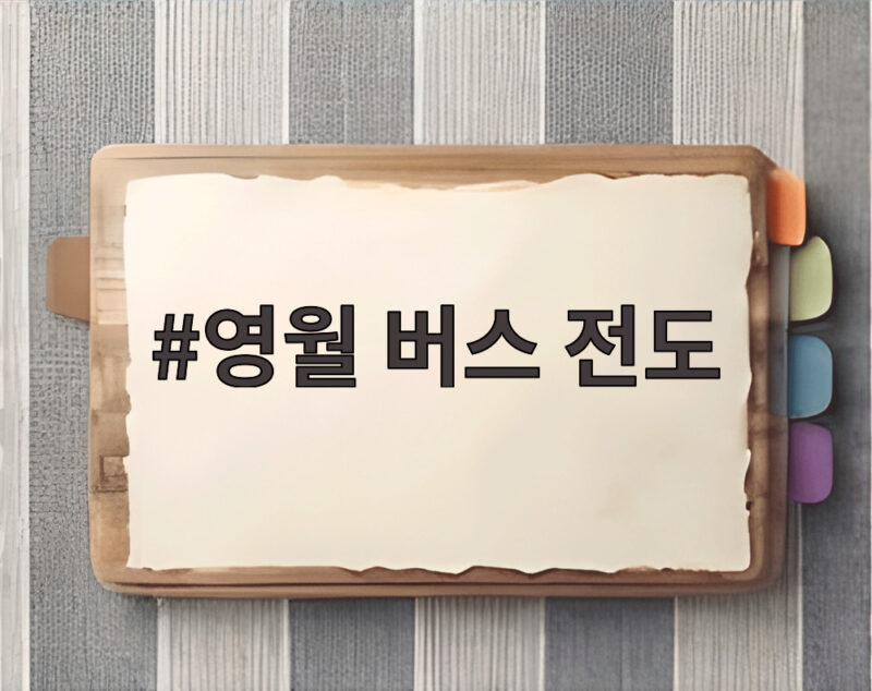 영월 버스 전도