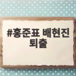 홍준표 배현진 퇴출 논란 홍준표 배현진 퇴출