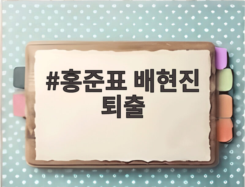 홍준표 배현진 퇴출 논란 1 홍준표 배현진 퇴출