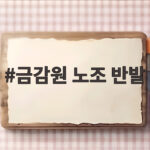 금감원 노조 반발 지방 이전 추진에 강력 반대하는 이유 금감원 노조 반발