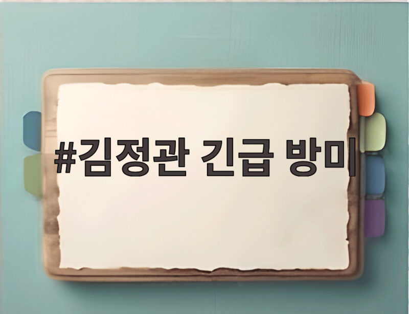 김정관 긴급 방미 통상 현안 해결 1 김정관 긴급 방미