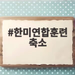 한미연합훈련 축소, 트럼프의 진짜 속내와 한반도 정세 전망 한미연합훈련 축소