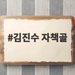 김진수 자책골