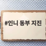 인니 동부 지진 규모 7.7 피해와 대응 인니 동부 지진
