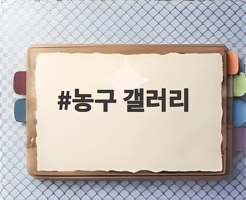 농구 갤러리