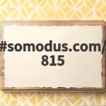 somodus.com/815