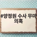 양정원 수사 무마 의혹