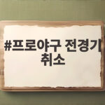 프로야구 전경기 취소 폭염 대책 알아보기 프로야구 전경기 취소