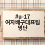u-17 여자배구대표팀 명단 주인공들 세계선수권 출격 준비 u-17 여자배구대표팀 명단
