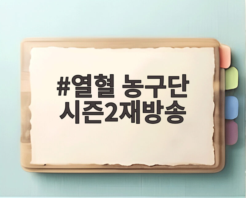 놓치면 아쉬운 열혈 농구단 시즌2 재방송 보는 법 총정리 1 열혈 농구단 시즌2재방송
