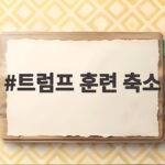트럼프 한미연합훈련 축소 지시와 김정은 관계 그리고 이란 비핵화 트럼프 훈련 축소