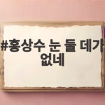 로카르노 3관왕 홍상수 눈 둘 데가 없네 감독상 김민희 연기상 홍상수 눈 둘 데가 없네