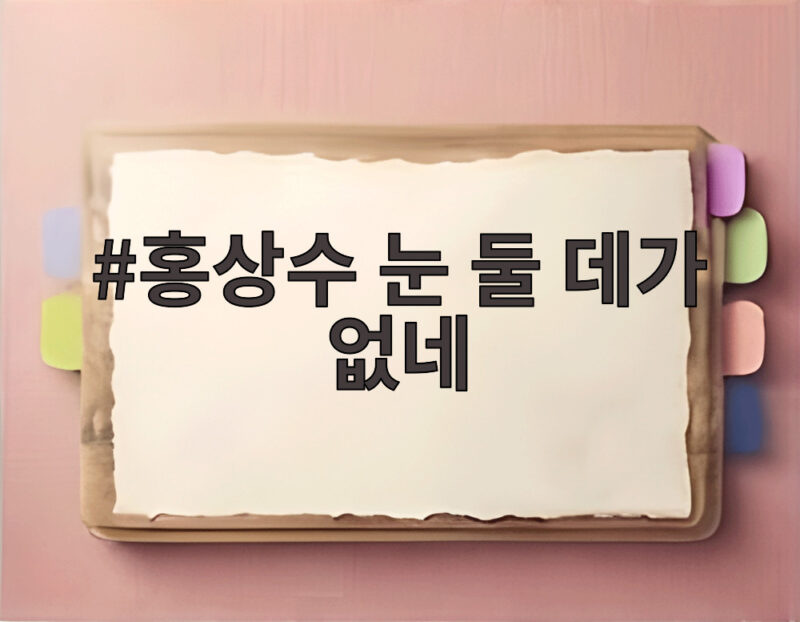 홍상수 눈 둘 데가 없네