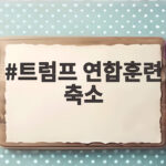 트럼프 연합훈련 축소