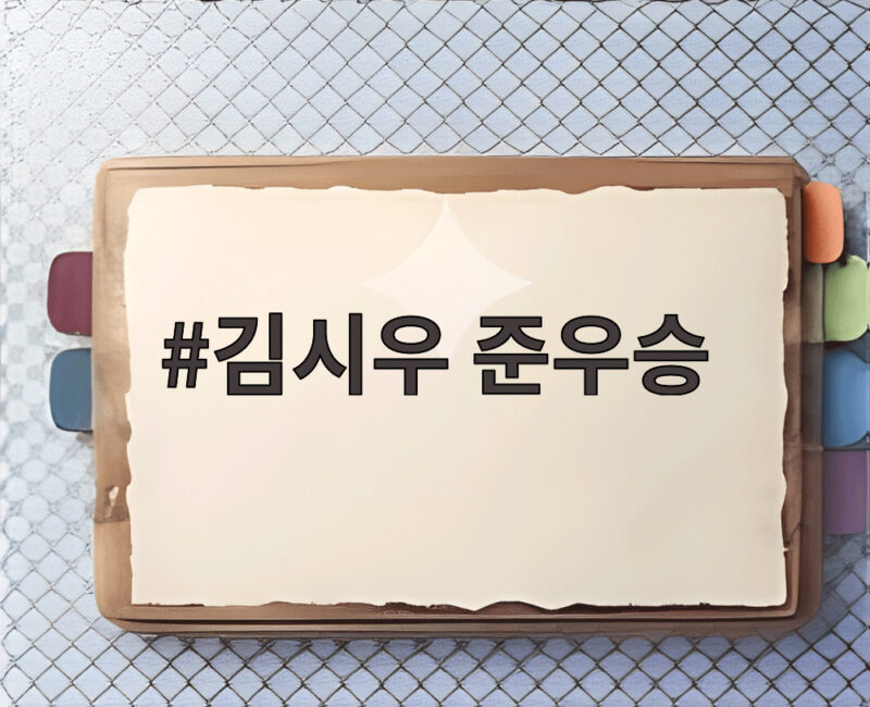 김시우 준우승