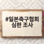 일본축구협회 심판 조사