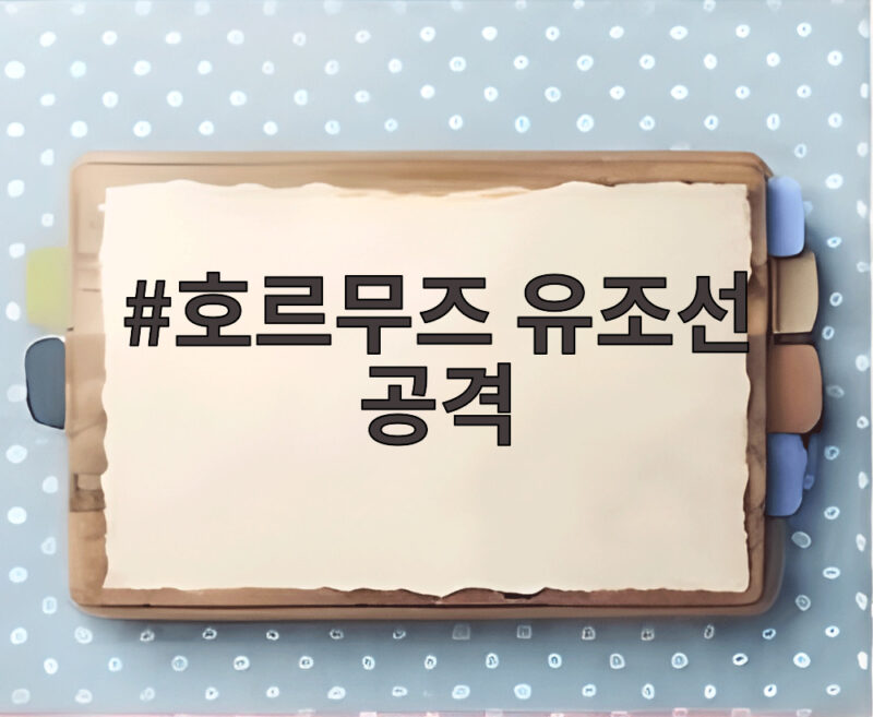 호르무즈 유조선 공격