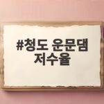 청도 운문댐 저수율 25% 안팎 가뭄으로 물 공급 비상 청도 운문댐 저수율