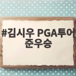 김시우 PGA투어 준우승