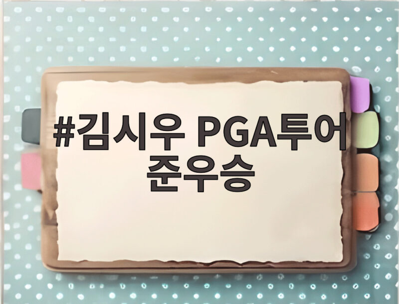 김시우 PGA투어 준우승, 플레이오프 1차전에서 빛난 집중력 1 김시우 PGA투어 준우승