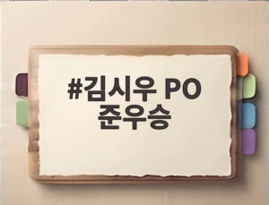 김시우 PO 준우승