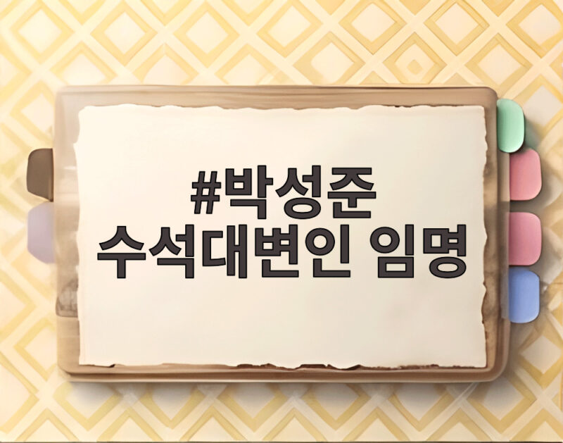 박성준 수석대변인 임명으로 본 김민석 대표 첫 인선 민주당 쇄신 방향 1 박성준 수석대변인 임명