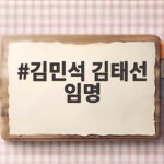 김민석 김태선 임명