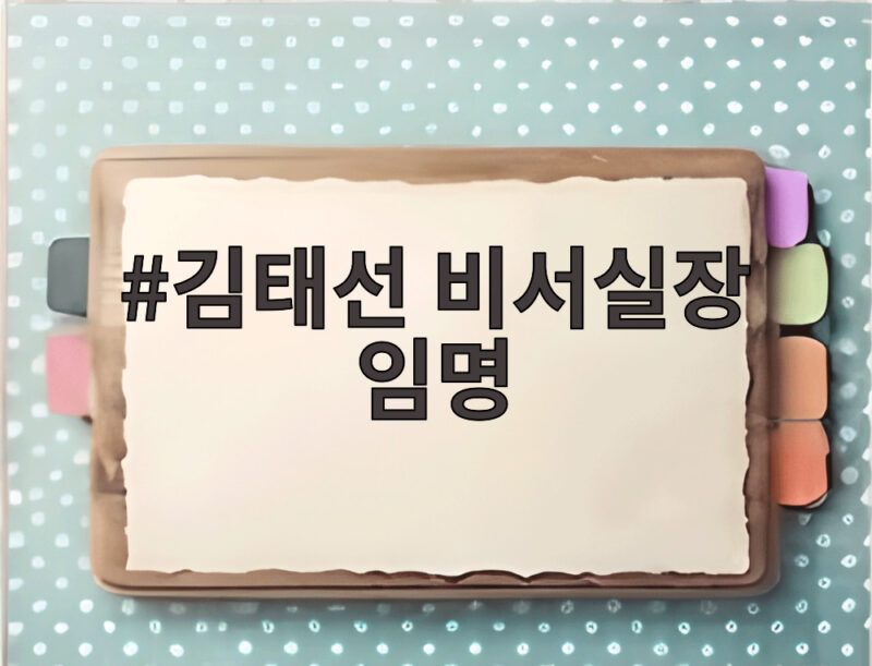 김태선 비서실장 임명