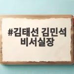 김태선 김민석 비서실장