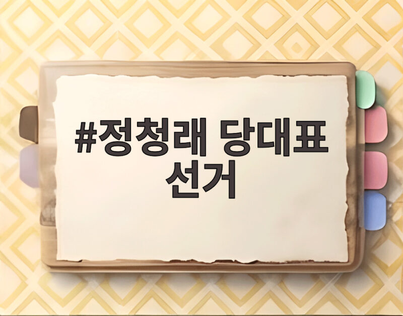 정청래 당대표 선거