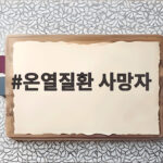온열질환 사망자