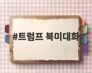 트럼프 북미대화