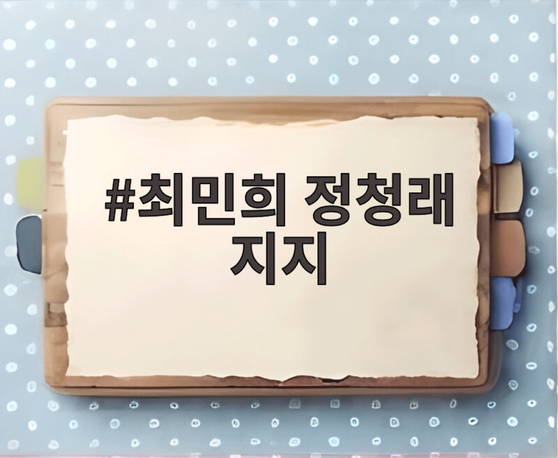 최민희 정청래 지지, 민주당 새 지도부에 거는 기대와 우려 1 최민희 정청래 지지