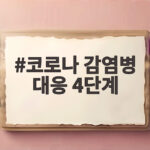 코로나 감염병 대응 4단계