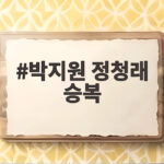 박지원 정청래 승복 발언 논란, 정치적 파장과 향후 과제 박지원 정청래 승복