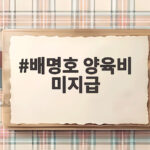 배명호 양육비 미지급