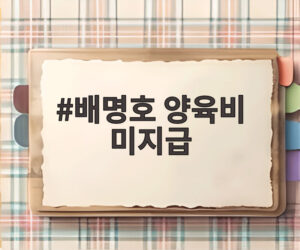 배명호 양육비 미지급