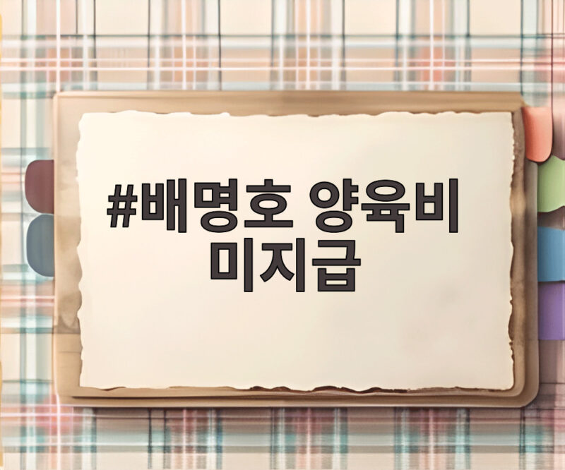 배명호 양육비 미지급