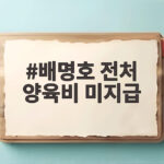 배명호 전처 양육비 미지급
